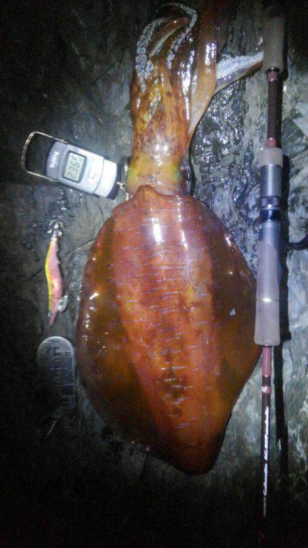 新年早々に赤系