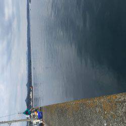 初釣り フカセのグレ