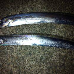 2016年初釣り‼︎