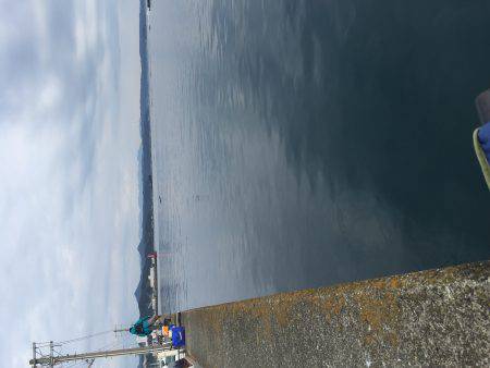 初釣り フカセのグレ