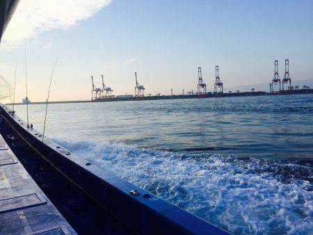 ショート便でガシラ♪