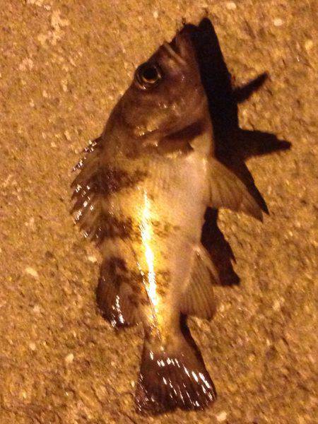 ランガンメバリング！