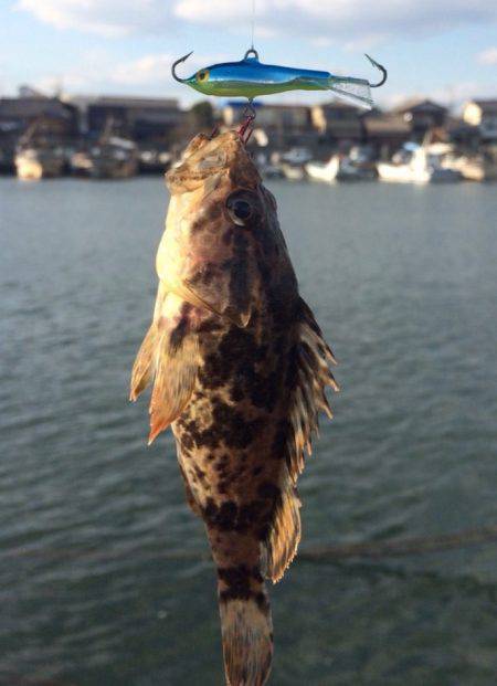 初アイスジグ！