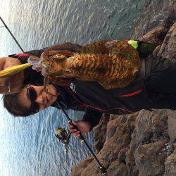 アオリはまだいる！