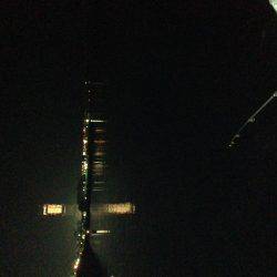 余った餌で再チャレンジ