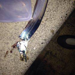 まだ居ます。タチウオ。