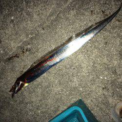 まだまだイケるね！