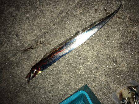 まだまだイケるね！