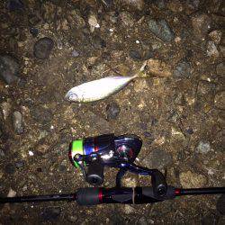 アアジング&メバリング