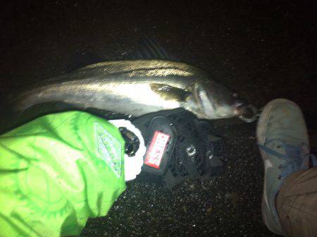 ドラグがでるっ！