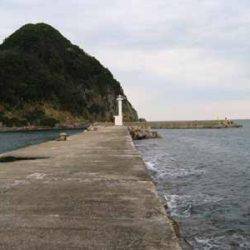 ハマチが回遊中！！