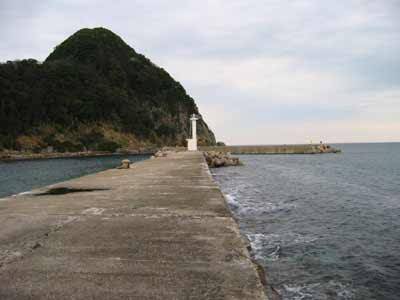 ハマチが回遊中！！