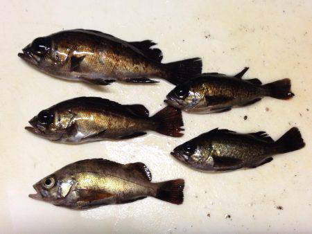 寒中ランガン！