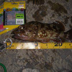 本命には振られましたが結果オーライV(^_^)V