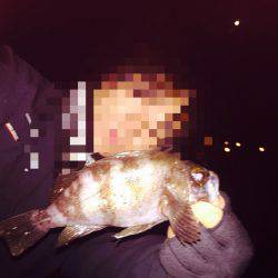 仕事帰りの癒し〜♪