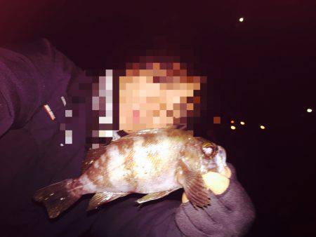 仕事帰りの癒し〜♪