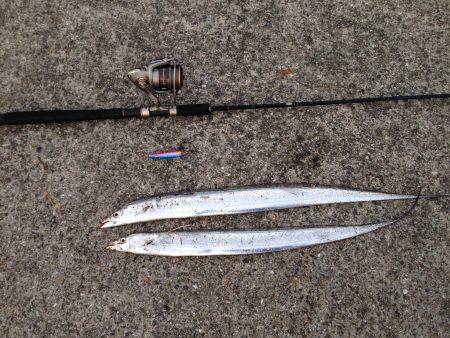 安物メタルジグ