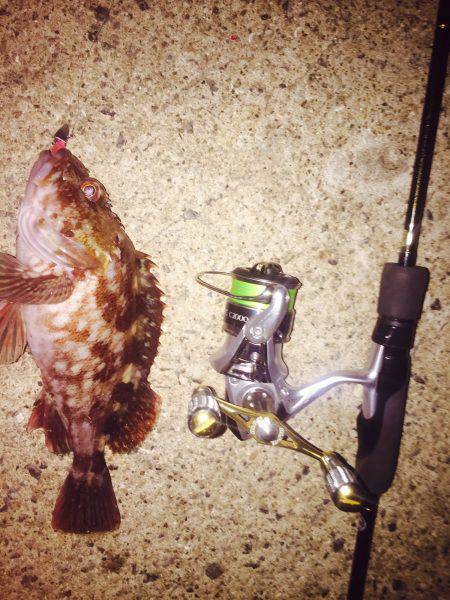 癒し系のあいつら・・・