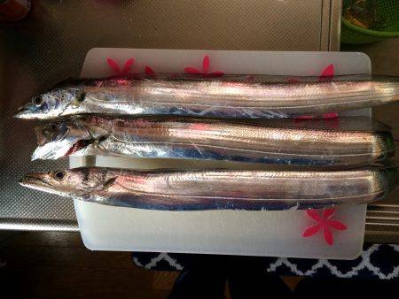 マイポイントで朝練8連チャン