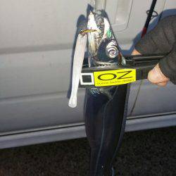 遠征サーベルハンター