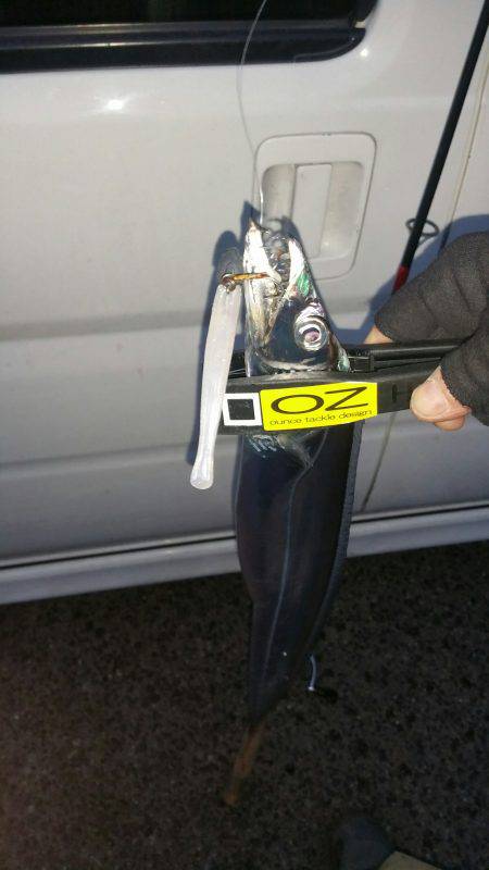 遠征サーベルハンター