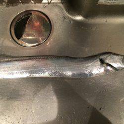 新春一発目は•••