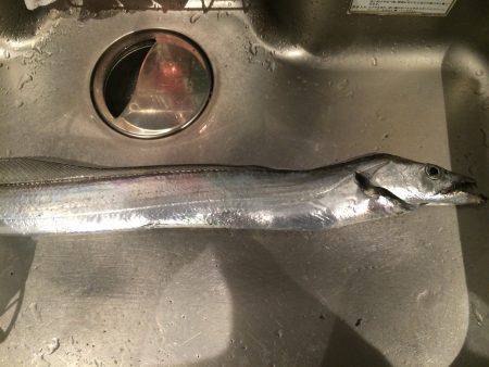 新春一発目は•••