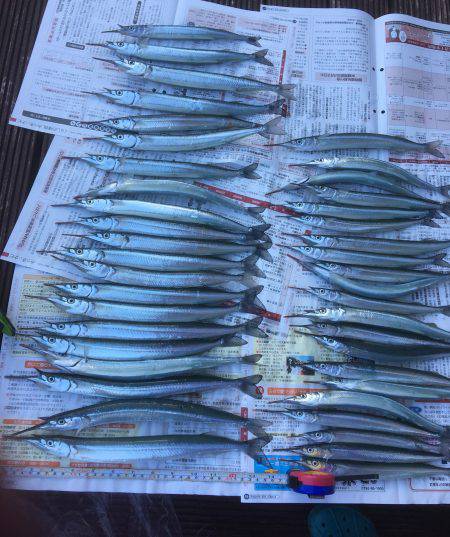 サヨリ祭りパート2