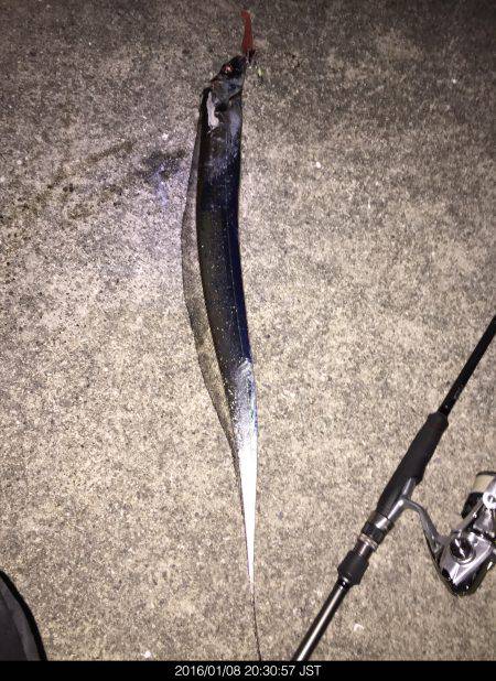 プチ遠征。車中泊で太刀魚ワインド釣行。