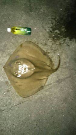 残念一杯だけでした。