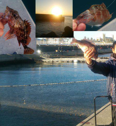 マリーナシティ釣り堀