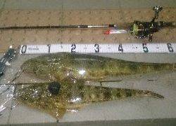 新春初釣り 外道2連発