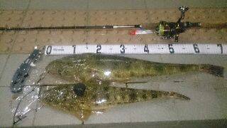 新春初釣り 外道2連発