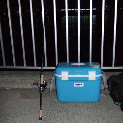 ボウズは免れたけれど