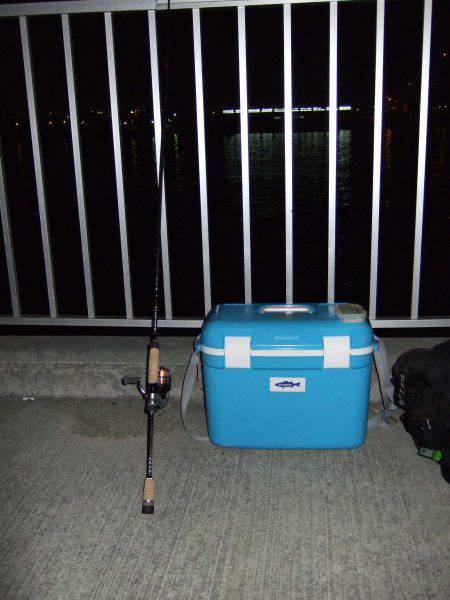 ボウズは免れたけれど