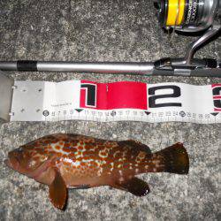 夕方~エビ撒き釣りで根魚狙い!
