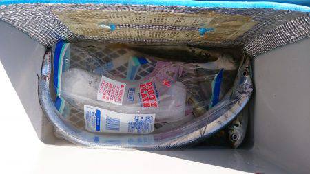 サビキで太刀魚‼