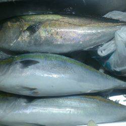 淡路島ランガンメバリング