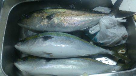 淡路島ランガンメバリング