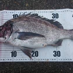 しぶしぶでした