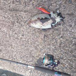 下げ潮のタイミングでドーンと！