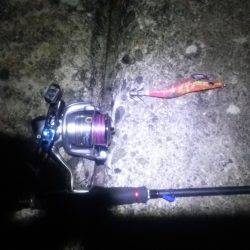 串本の帰りに…