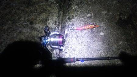 串本の帰りに…