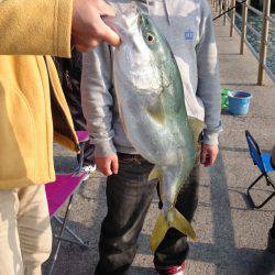 アジュール舞子にて、サビキ!