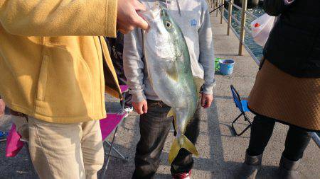 アジュール舞子にて、サビキ!