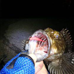 ガシリング記録更新