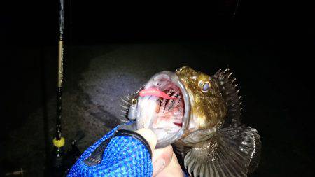 ガシリング記録更新