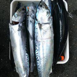 新年初釣り～⤴