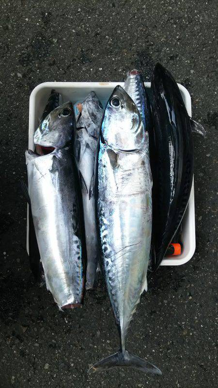 新年初釣り～⤴