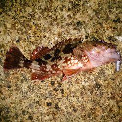 小さいサイズばかり